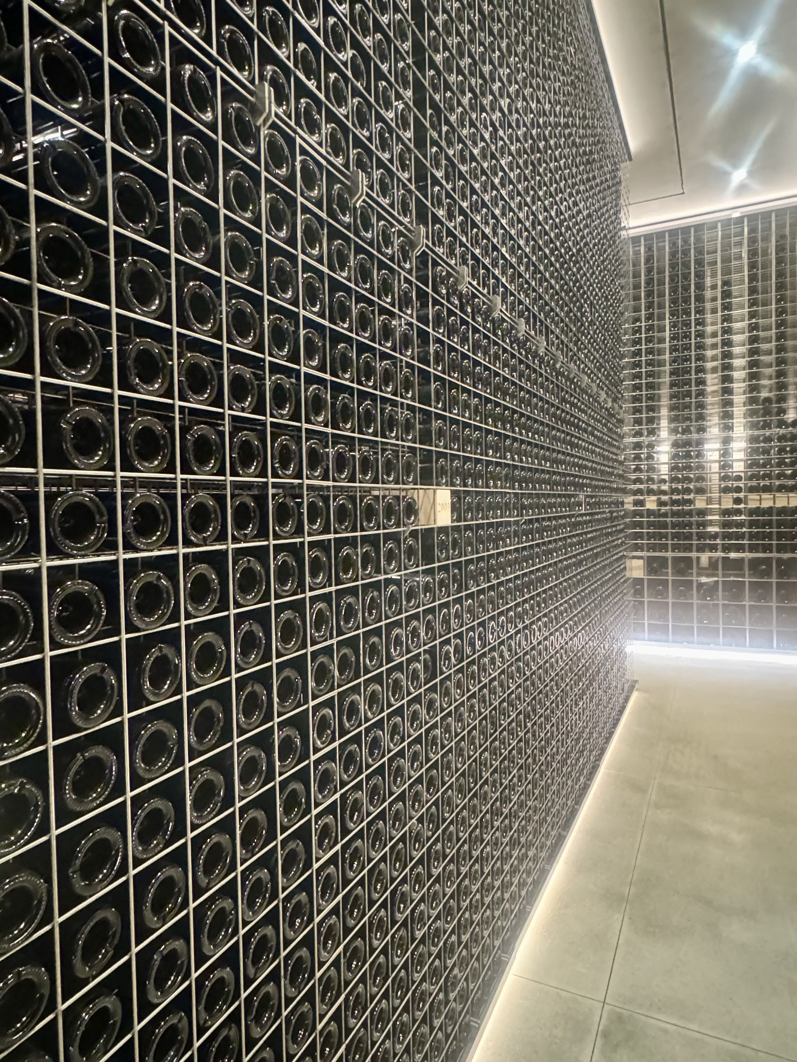 people in hawaiin attire greeting and looking at the camera