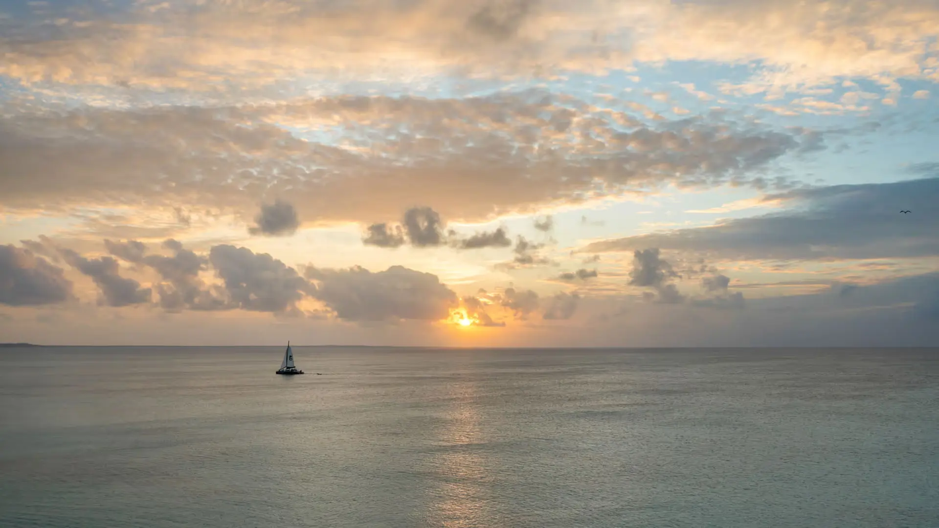 outdoor pool and firepit
